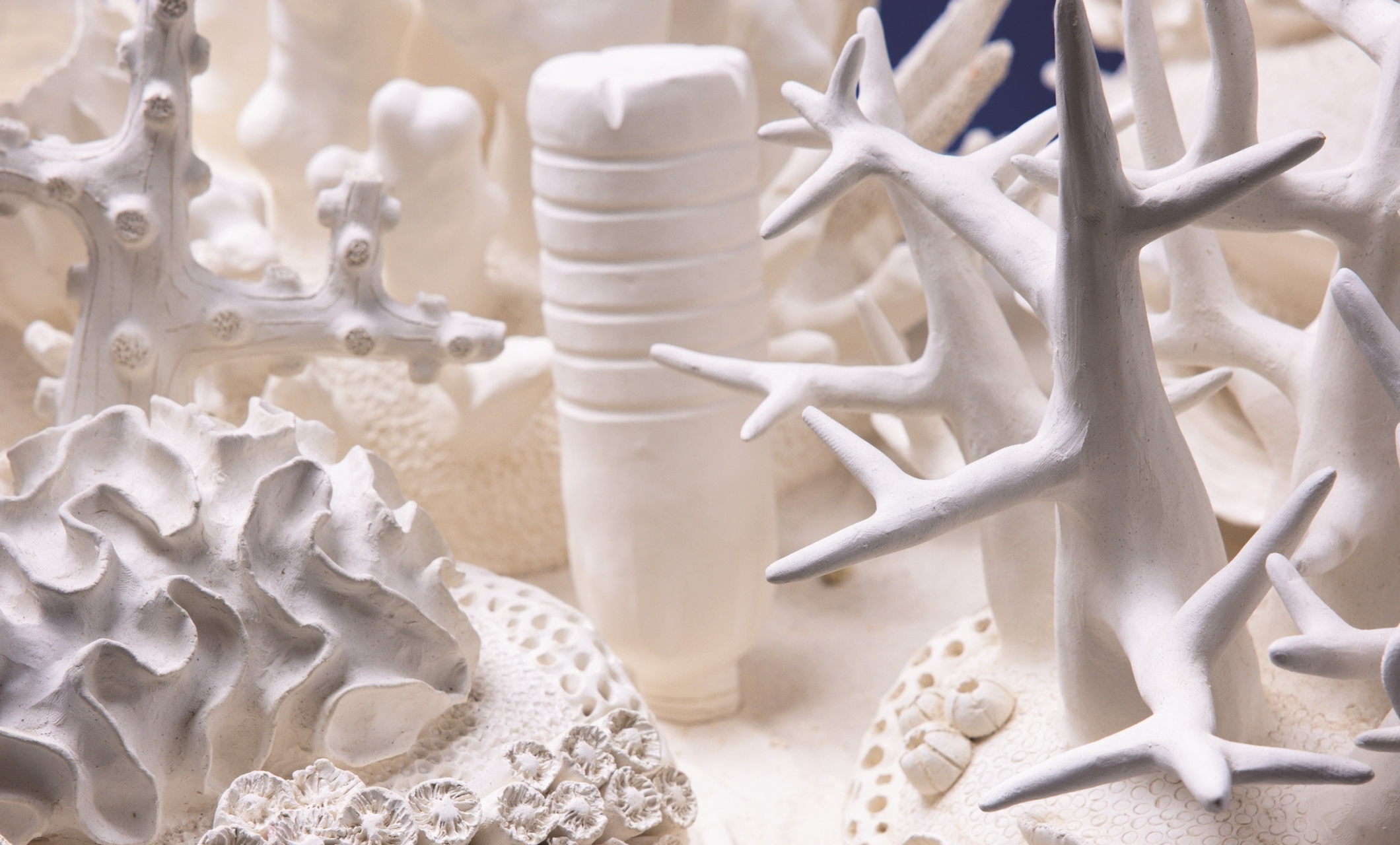 Coral as a Canvas | Faena